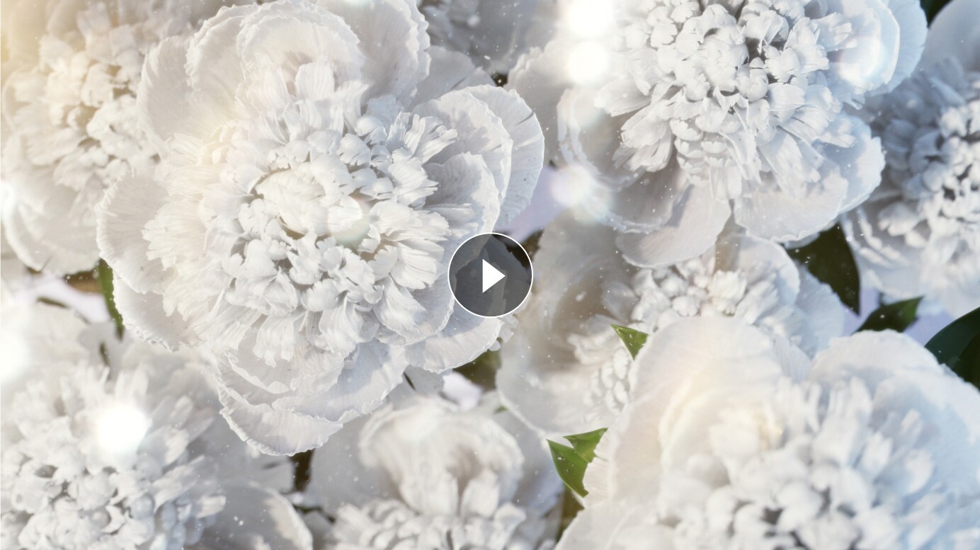 Locked Kiss Lipstick produktbillede videoafspiller